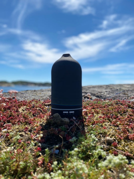 Diffuser | Nordic Black